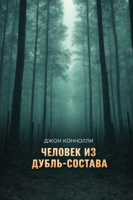 Книга Человек из дубль-состава