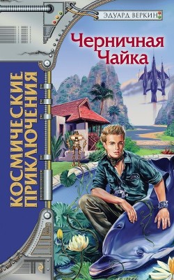 Книга Черничная Чайка