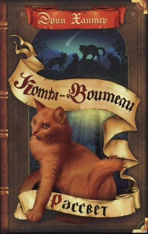 Книга Рассвет