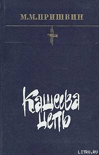 Книга Кащеева цепь