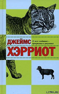Книга О всех созданиях – прекрасных и удивительных