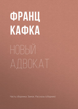 Книга Новый адвокат
