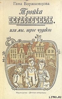 Книга Тройка неразлучных, или Мы, трое чудаков