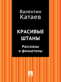 Книга Два гусара