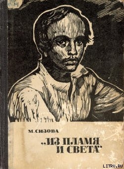 Книга «Из пламя и света»