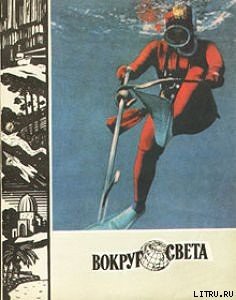 Книга Рассвет в дебрях буша
