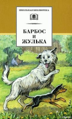 Книга Буран