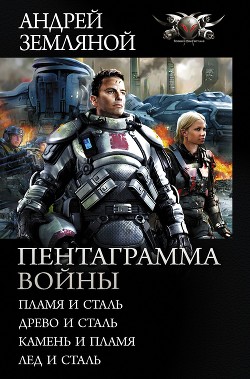 Книга Камень и пламя
