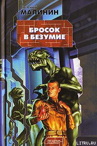 Книга Бросок в безумие