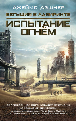 Книга Испытание огнем