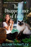 Книга The Disappearance of Emily: Destiny Falls Mystery & Magic Series Book 2