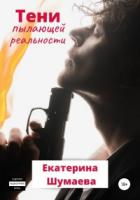 Книга Тени пылающей реальности