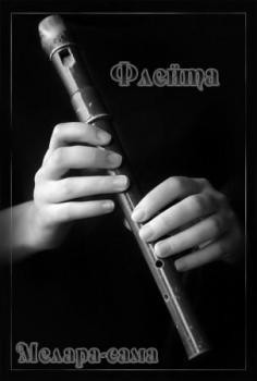 Книга Флейта (СИ)