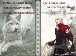 Книга Где я согрешил, за что так попал ...? (СИ)
