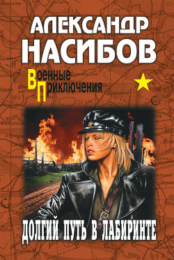 Книга Долгий путь в лабиринте