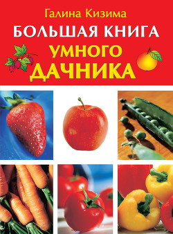 Книга Большая книга умного дачника