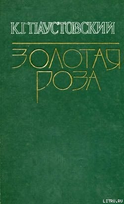 Книга Беглые встречи