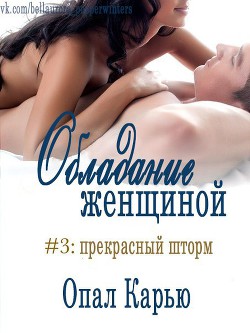 Книга Прекрасный Шторм (ЛП)