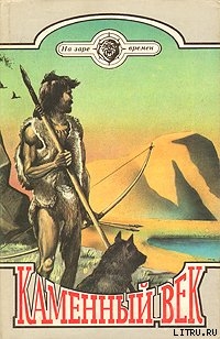 Книга Каменный век
