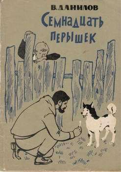 Книга Семнадцать перышек