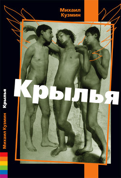 Книга Крылья