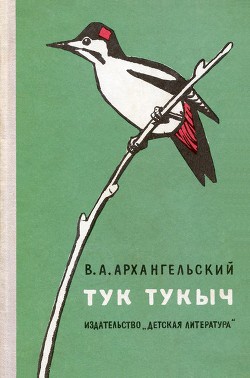 Книга Тук Тукыч