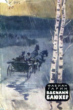 Книга Василий Блюхер. Книга 1