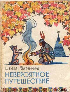 Книга Невероятное путешествие