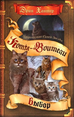Книга Выбор