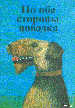 Книга Терри