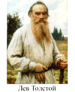 Книга Камни