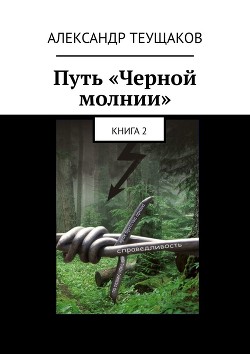 Книга Путь "Чёрной молнии"