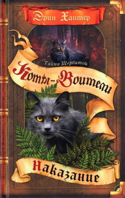 Книга Тайна Щербатой. Наказание