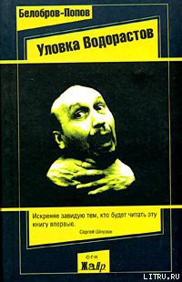 Книга Муха или Лаврентий Зайцев в командировке