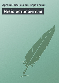 Книга Небо истребителя