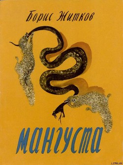 Книга Мангуста