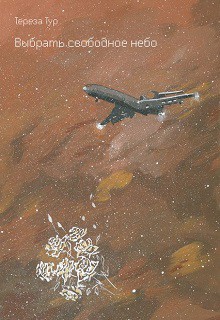 Книга Выбрать свободное небо (СИ)