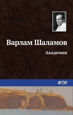 Книга Академик