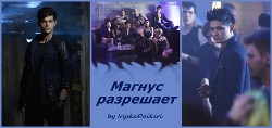 Книга Магнус разрешает (СИ)