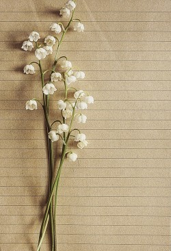 Книга Обещанная дочь (СИ)