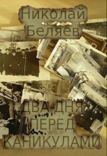 Книга Два дня перед каникулами (СИ)