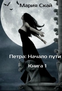 Книга Начало пути (СИ)
