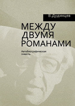 Книга Между двумя романами