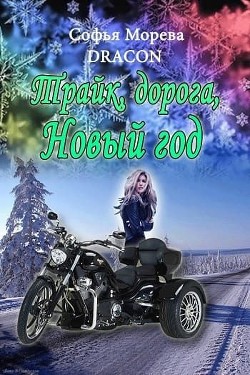 Книга Трайк, дорога, Новый Год (СИ)
