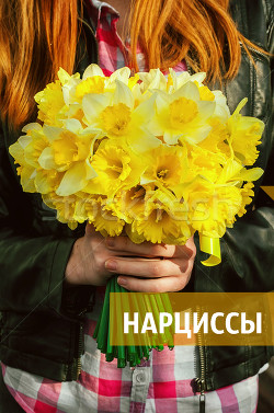 Книга Нарциссы (СИ)