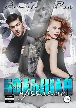 Книга Большая проблема