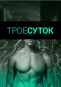 Книга Трое суток (СИ)