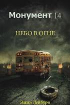 Книга Небо в огне (ЛП)