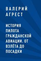 Книга История пилота гражданской авиации. От взлёта до посадки
