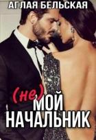 Книга (Не) мой начальник (СИ)
